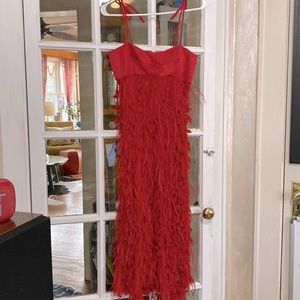 Vintage Red Feather beaded Dress